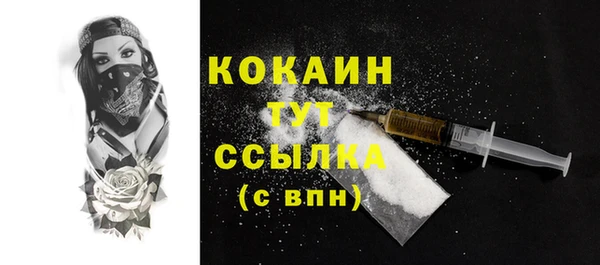 PSILOCYBIN Белокуриха