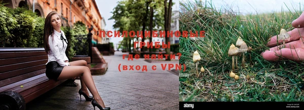 марки lsd Богородск
