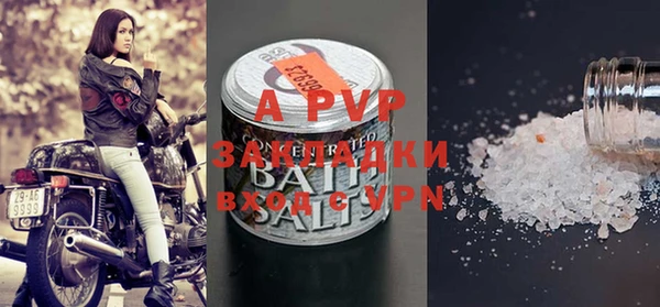 PSILOCYBIN Белокуриха