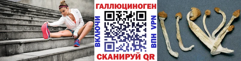 Псилоцибиновые грибы GOLDEN TEACHER  наркошоп  Реж 